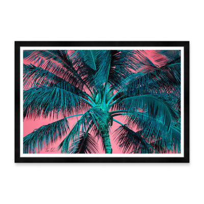 Palmier tropical en rose et bleu