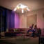 Shely Spotlight-1497031847