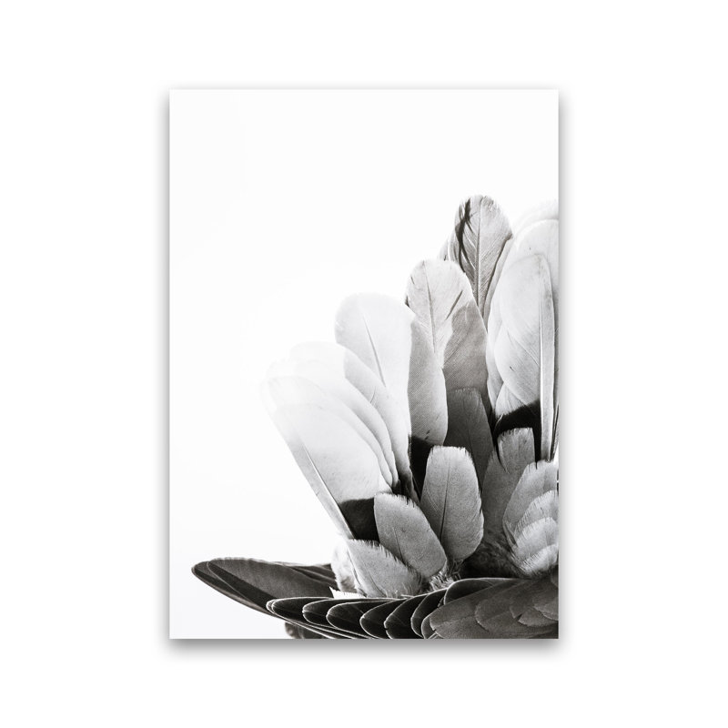 Feathers by Victoria Frost - Print, Unframed, 84cm H x 60cm W x 1cm D