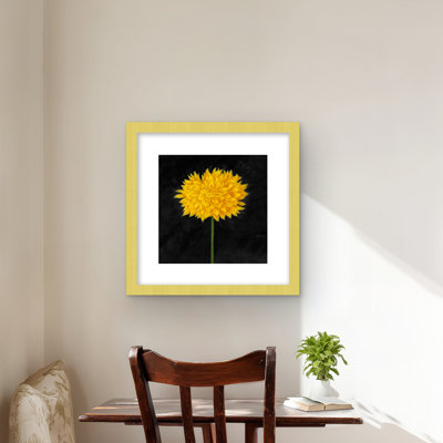 Yellow Chrysanthemum - Floral Matted Print for Home Decor
