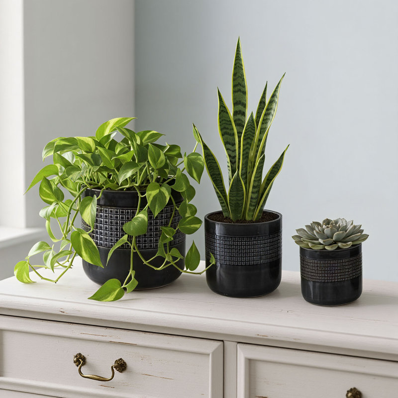 Ensemble de 3 pots à fleurs d'intérieur / extérieur en céramique avec trou de drainage, Noir