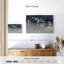 Seagulls Serenity-108842643