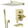Complete Shower System with Rough in-Valve