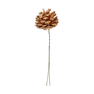 Pine Cone Pick