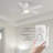 52'' Ceiling Fan with LED Lights-622809622