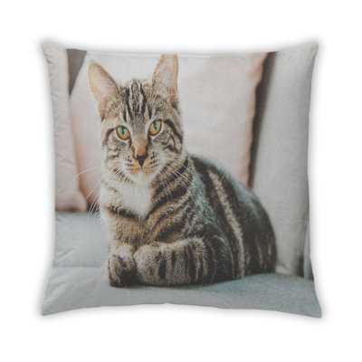Coussin 28 chats