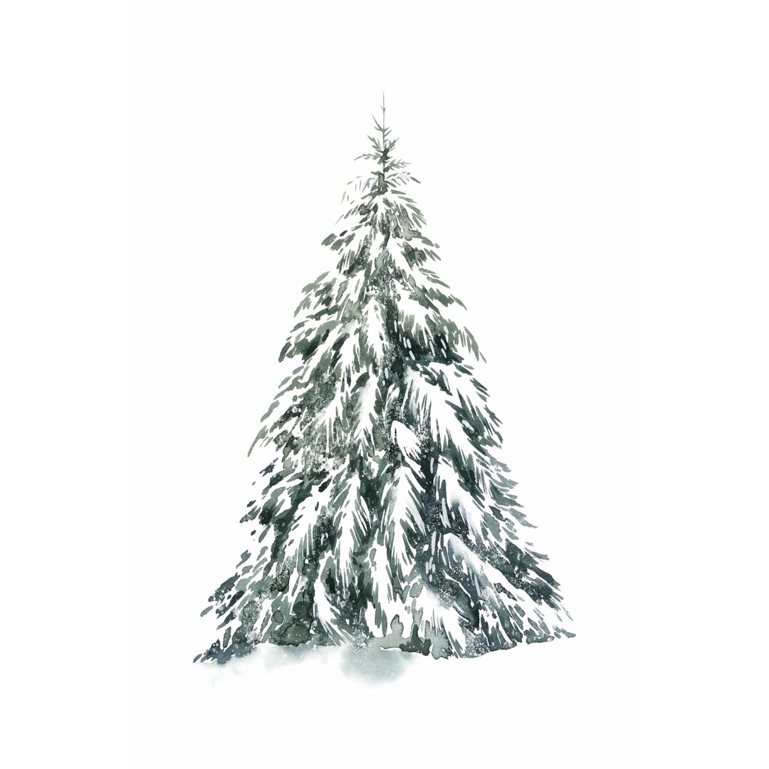 Leinwandbild Blue Spruce I von Grace Popp