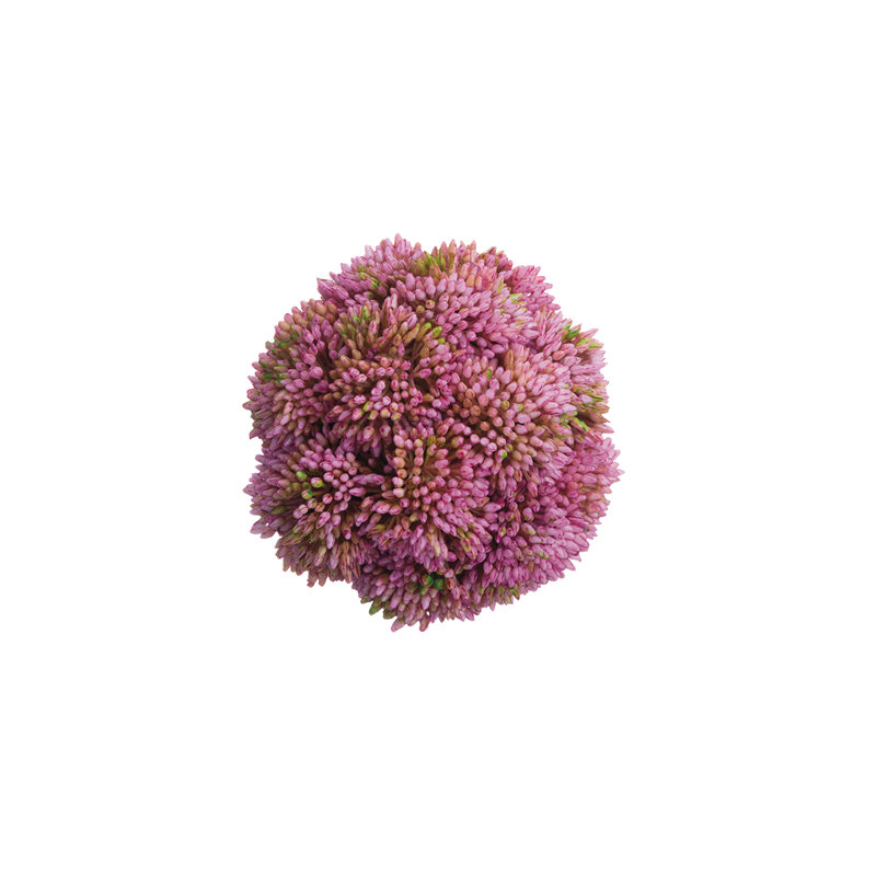 Decorative Sedum Balls (Set of 6), Pink