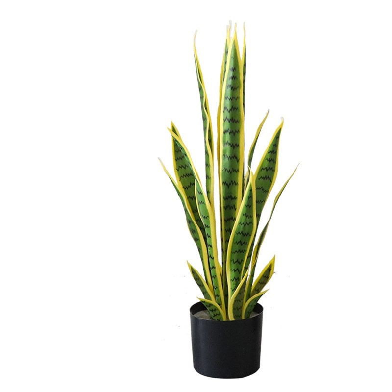 Plant, 70cm H x 15cm W x 105cm D