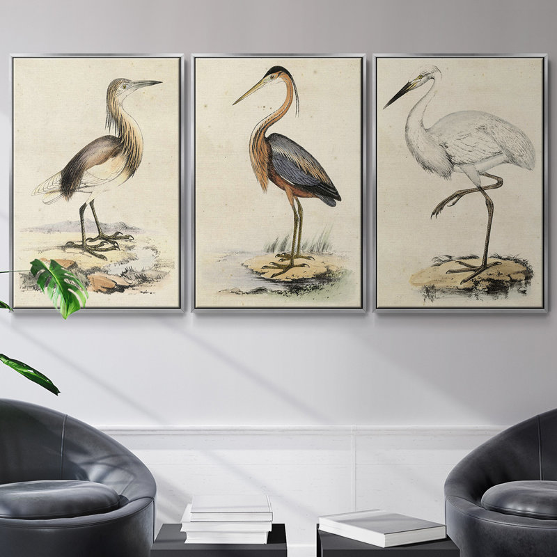 Antique Heron I, ensemble de 3 toiles encadrées sur toile, H 27 po x l 54 po, Argent