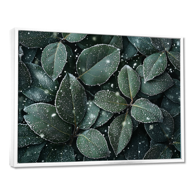 Jacorion Evergreen Leaves In Snow II - feuilles, art mural, H 12 po x l 20 po, Impression encadrée flottante, Blanc