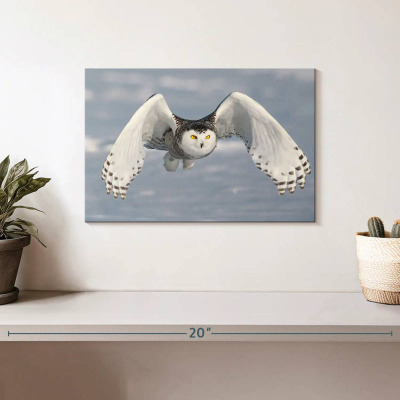 Brampt Owl In Winter, 8" H x 12" W
