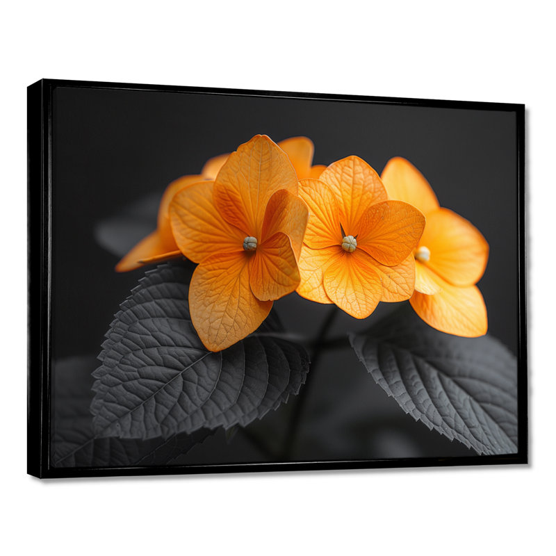 Orange orange, parfum d'hydrangées et d'hortensias muraux, H 12 po x l 20 po, Cadre flottant noir