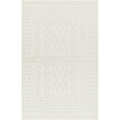 Tapis intérieur / extérieur en polypropylène tissé à la machine Cailey