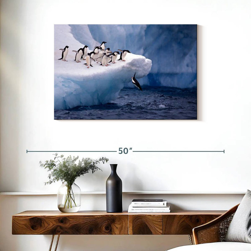 Brampt Penguins Diving