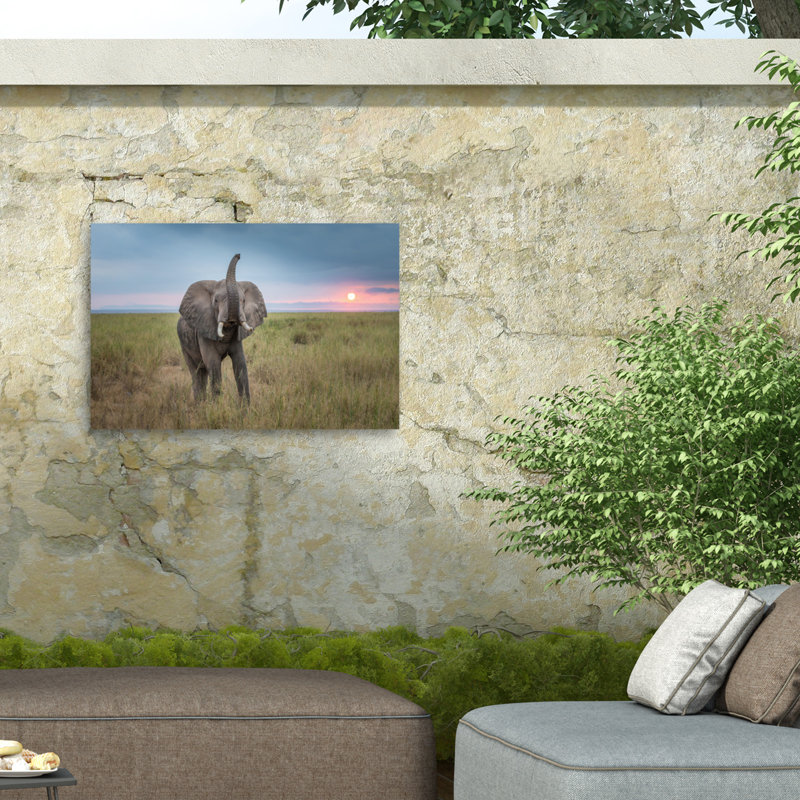 Ensemble d'évier «King of the domaine sur toile» par Jeffrey C., H 22 po x l 32 po