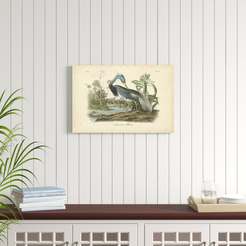 Louisiana Heron, peinture sur toile, H 20 po x l 30 po