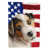 Parson Russell Terrier sélectionné