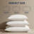 Luxury Hotel-Style Natural Goose Down Pillow - 100% Cotton Cover, 1000+ Fill Power, Plush & Supportive, Standard/Queen Size（Set of 1）-669380302
