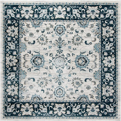 Delmer Performance Oriental Rug