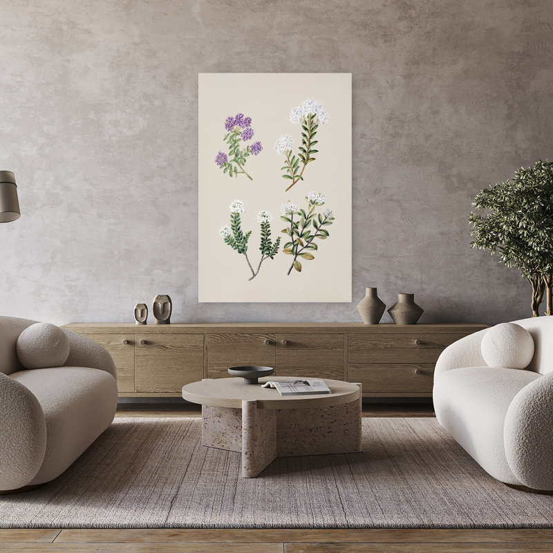«Veronica 4 Species Drawn» par Sarah, art mural rétro contemporain abstrait, H 48 po x l 32 po