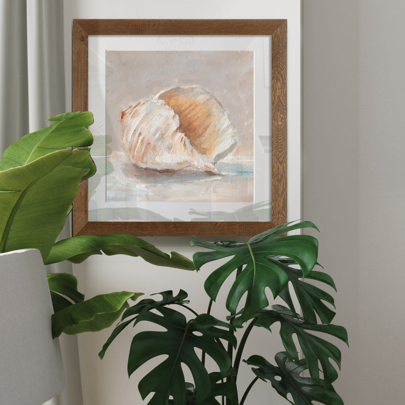 Impressionist Shell Study IV - Cadre photo, reproduction d'art sur papier, Cadre en érable, H 35,5 po x l 35,5 po x P 1,5 po