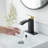 1 Single-handle Bathroom Faucet with Drain Assembly-109707129