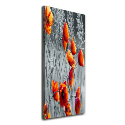 Field Poppies - Wrapped Canvas Print