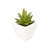 2'' Faux Cactus Succulent in Glass Pot