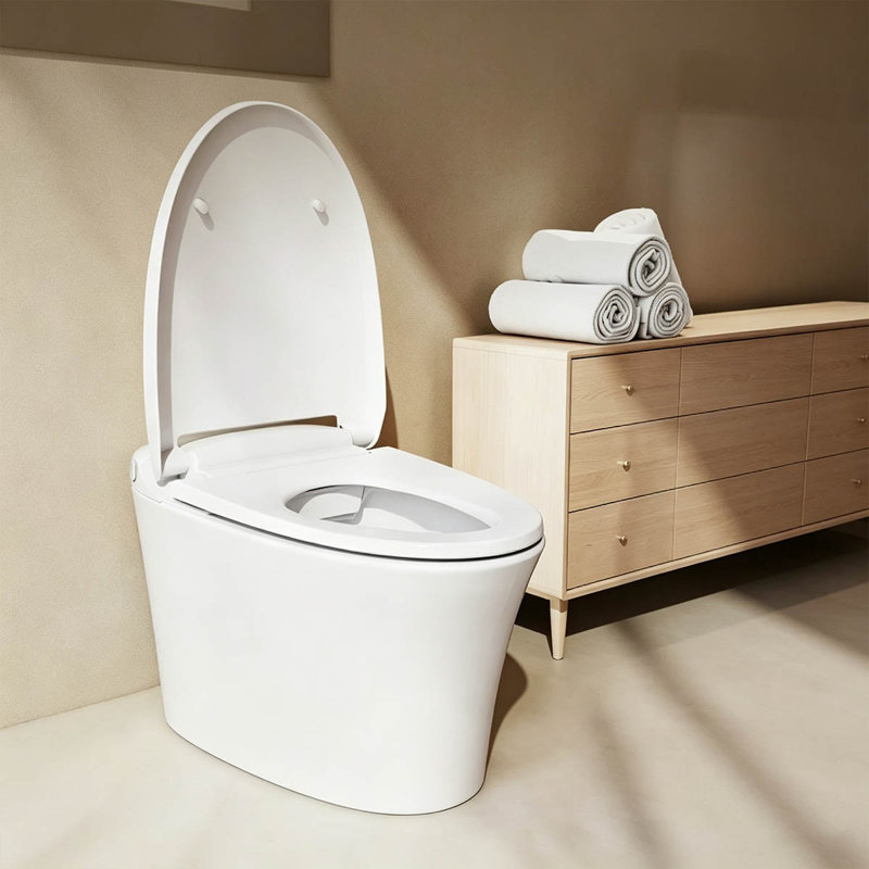 12" Rough-In Smart Bidet Toilet with Auto Flush on Exit, Heated Seat, Manual Flush for Power Outage, Multi-Functional