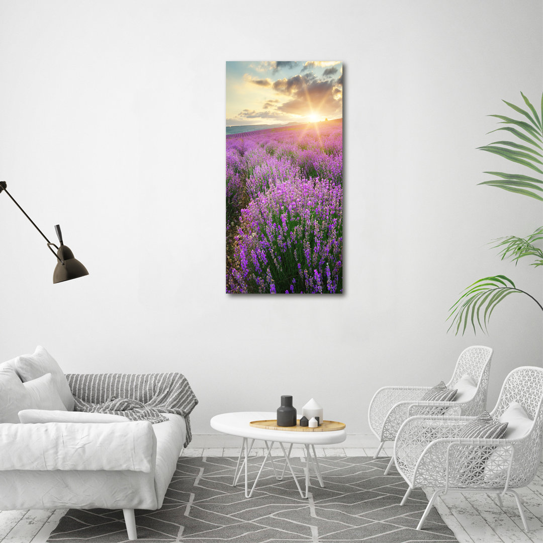 Lavendelfeld - Kunstdrucke auf Leinwand - Wrapped Canvas