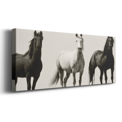 Wild Stallions sur toile