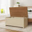 Kerry Blanket Chest-34962290
