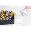 Balconera Window Box Planter-16493028-16493031
