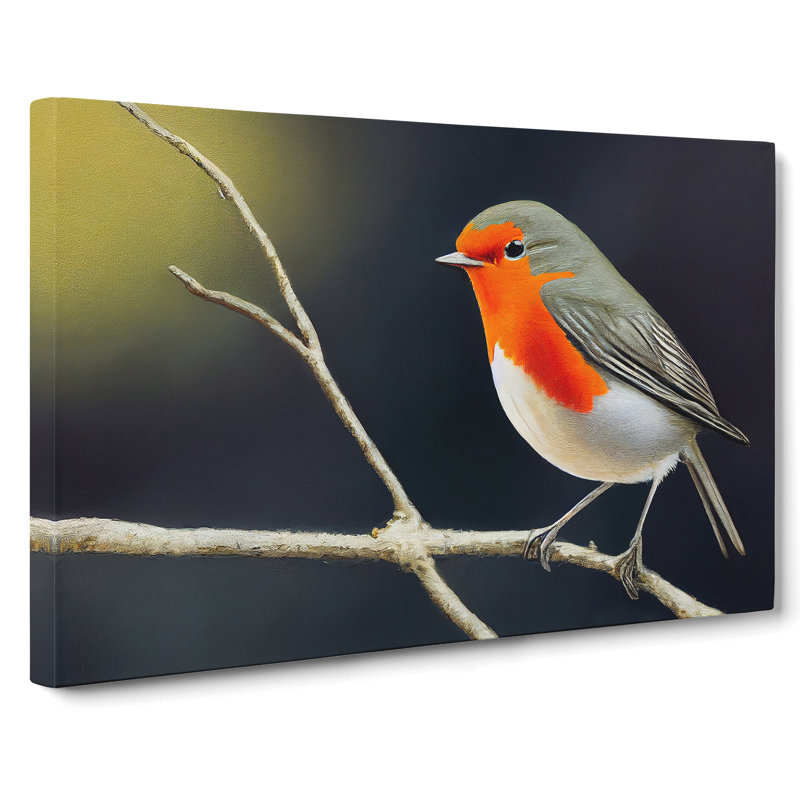 Effervescent Robin Bird - Wrapped Canvas Print, 35cm H x 50cm W x 3cm D