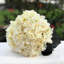 Tiges d'hortensia en soie artificielle-542064846
