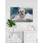 Wash Wash Your Trouble - reproduction d'art sur toile tendue-1731107223