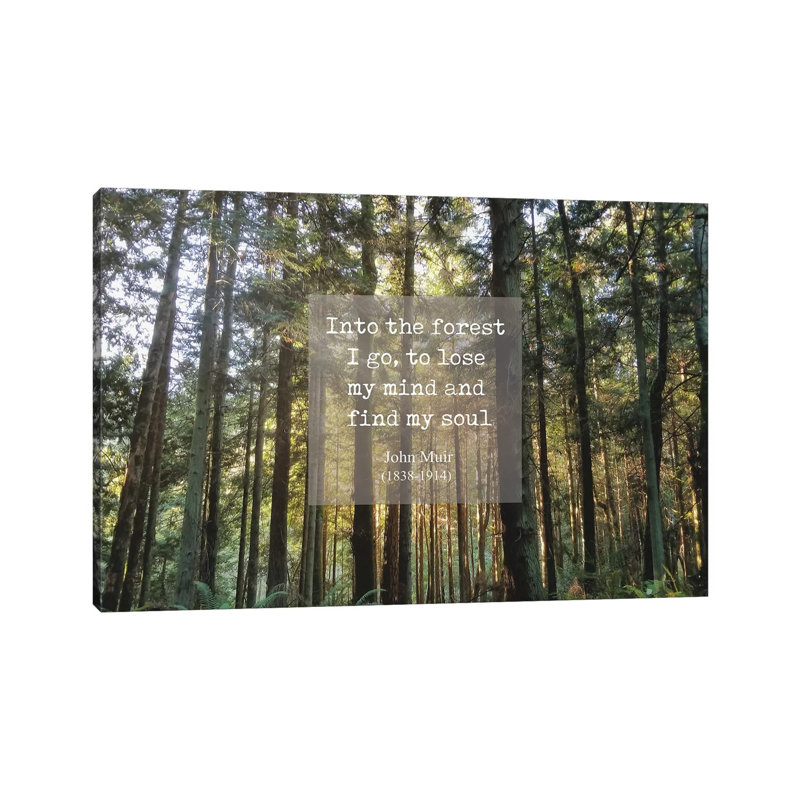 Into The Forest by MScottPhotography - Wrapped Canvas Print, 66.04 cm H x 45.72 cm W x 1.91 cm D