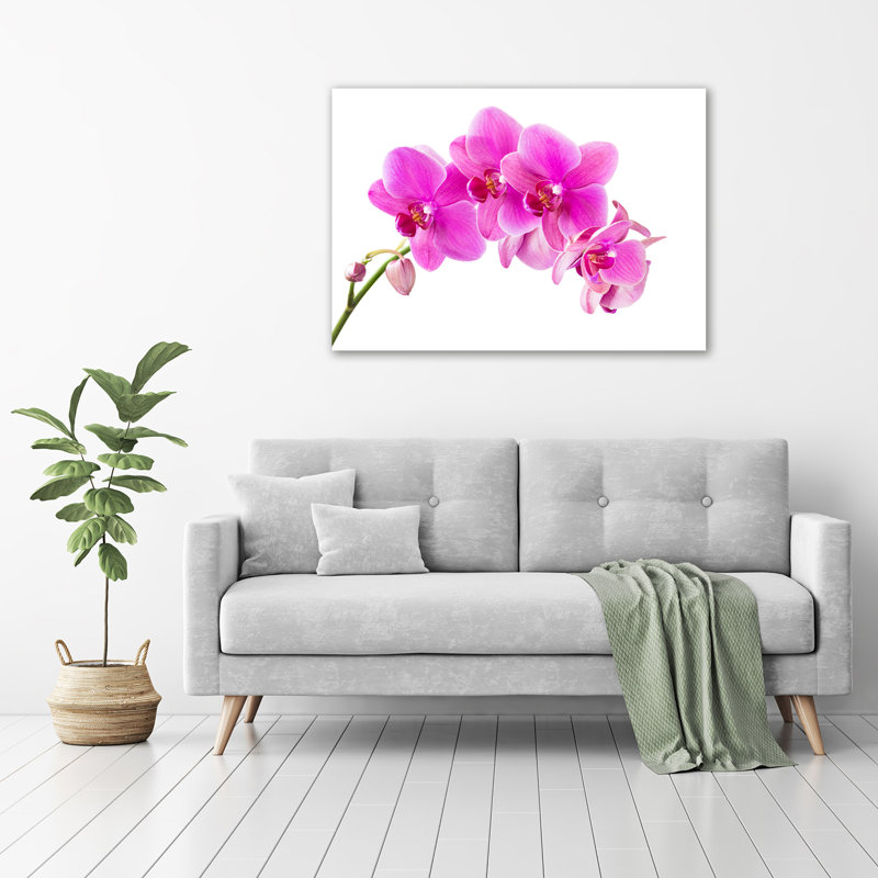 Pink Orchid - Wrapped Canvas Print