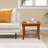 Antarious 20.1'' W Teak Shower Bench with Storage Shelf for Inside Shower Bathroom