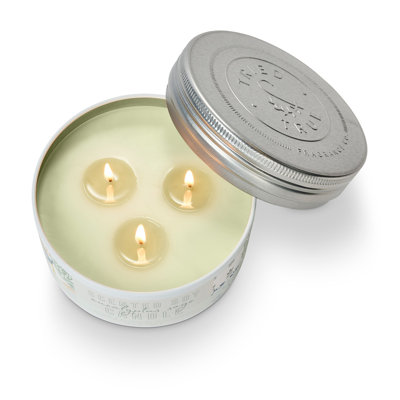 Essayé et véritable grande boîte, eucalyptus et sauge