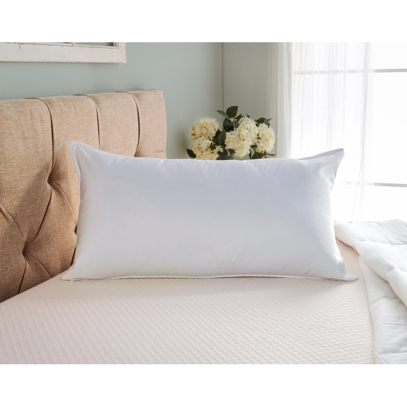 Wayfair Sleep™ Polyester Plush Pillow, Queen