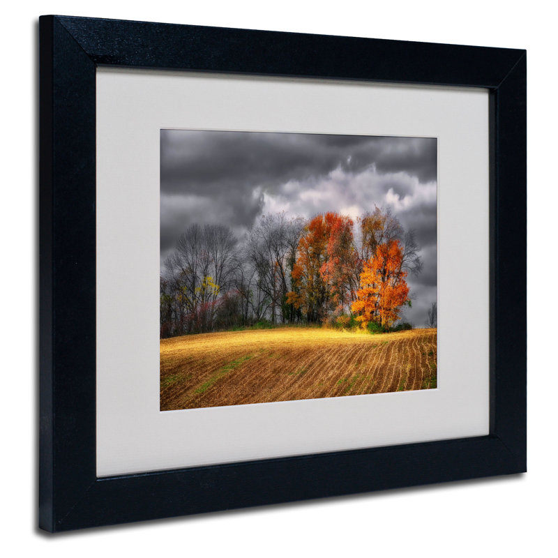 "field" par lois bryan, impression encadrée Halke, H 11 po x l 14 po x P 0,5 po, Noir