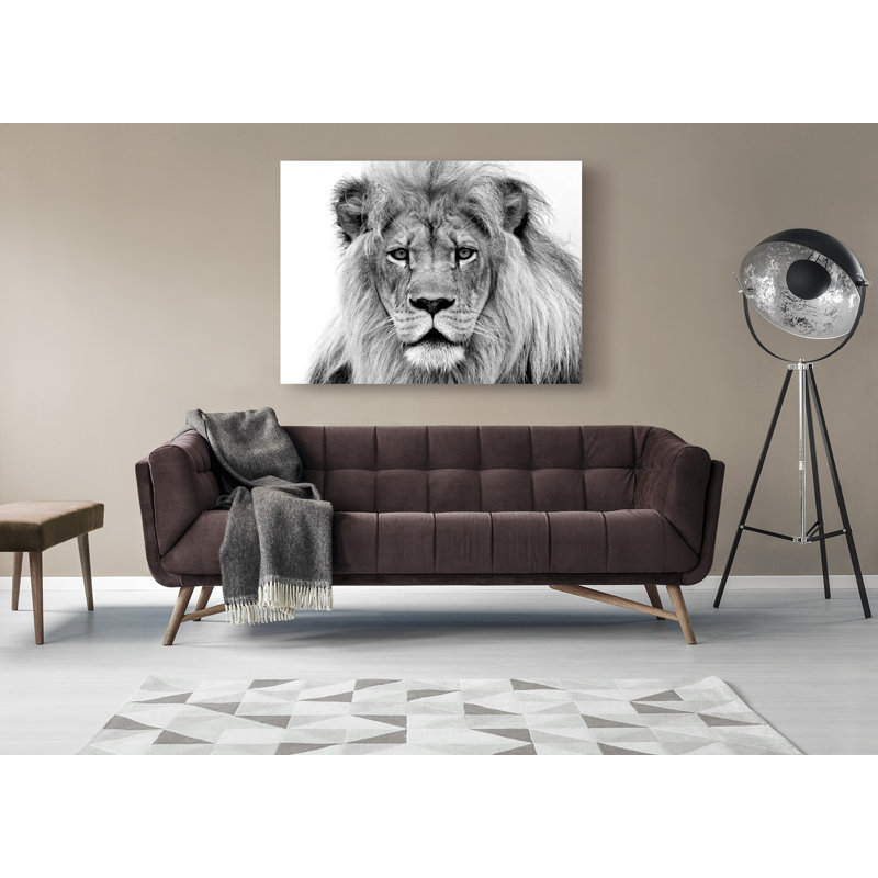 Male Lion by William Franklin - Wrapped Canvas Print, 50cm H x 70cm W x 4cm D