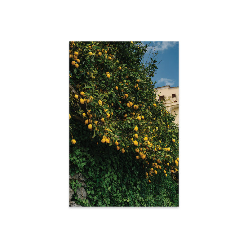 «Amalfi Coast Lemons II», reproduction sur verre acrylique