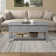 Clarice 4 Legs Coffee Table with Storage