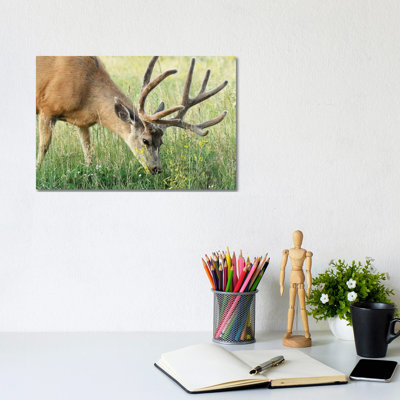 Salad for Breakfast 1 Piece Wrapped Canvas Wall Art