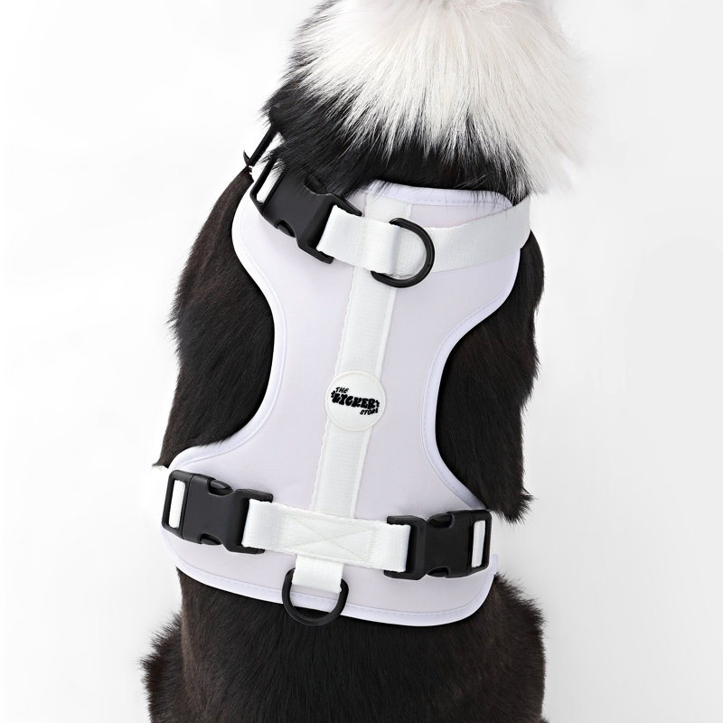 Harnais pour animal de compagnie Arlo, Blanc, Grand