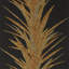 Yucca Wallpaper-50888991