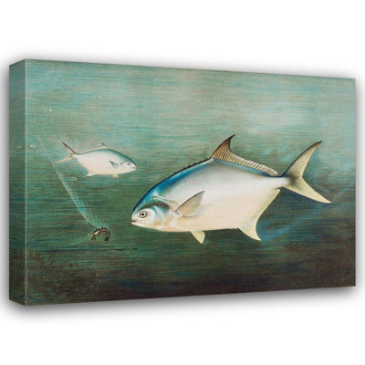 Beachcrest Home Kilbourne, Samuel Gallery Wrapped Canvas Art Titled: Pompano